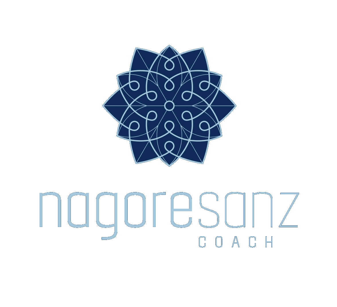 Nagore Sanz Logo